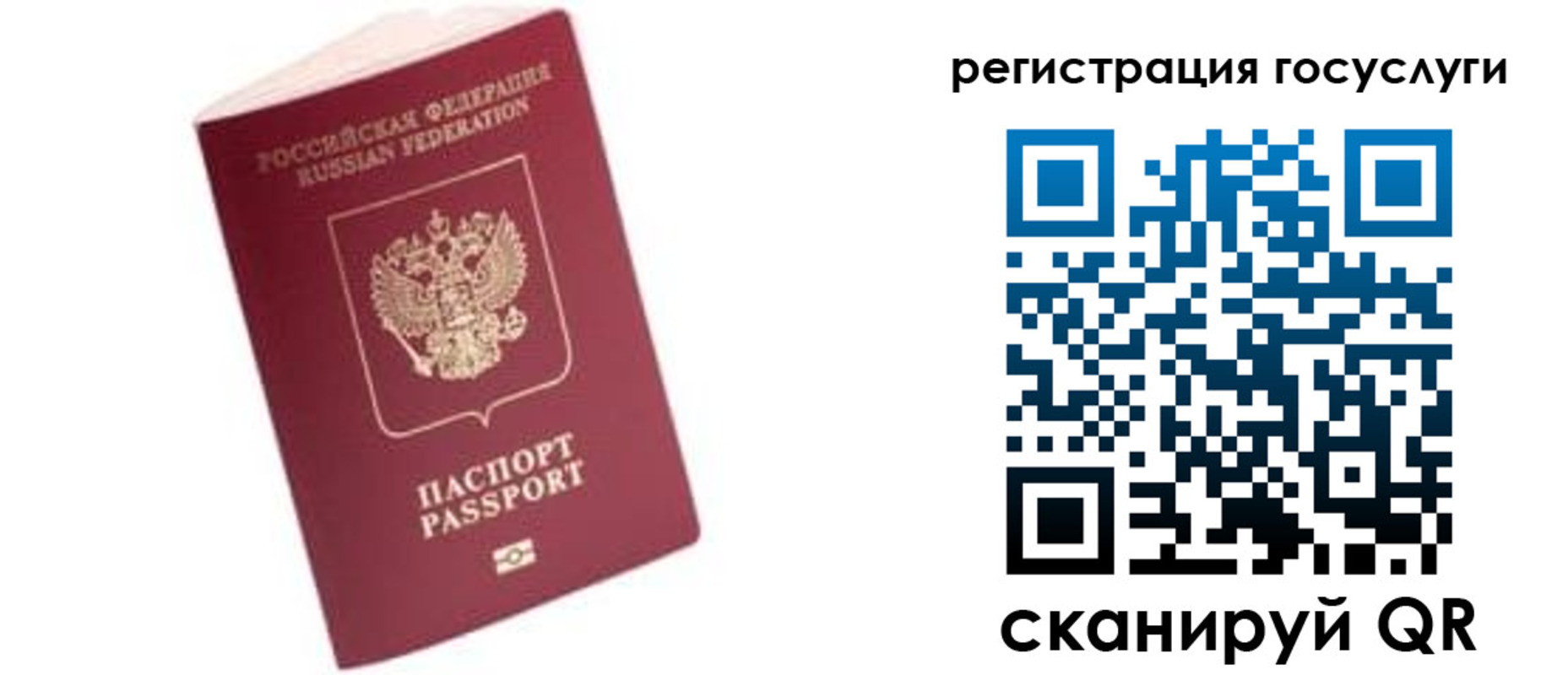 прописка поиск в Видном
